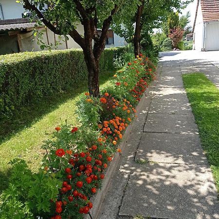 Apartman Skudar Bjelovar Buitenkant foto