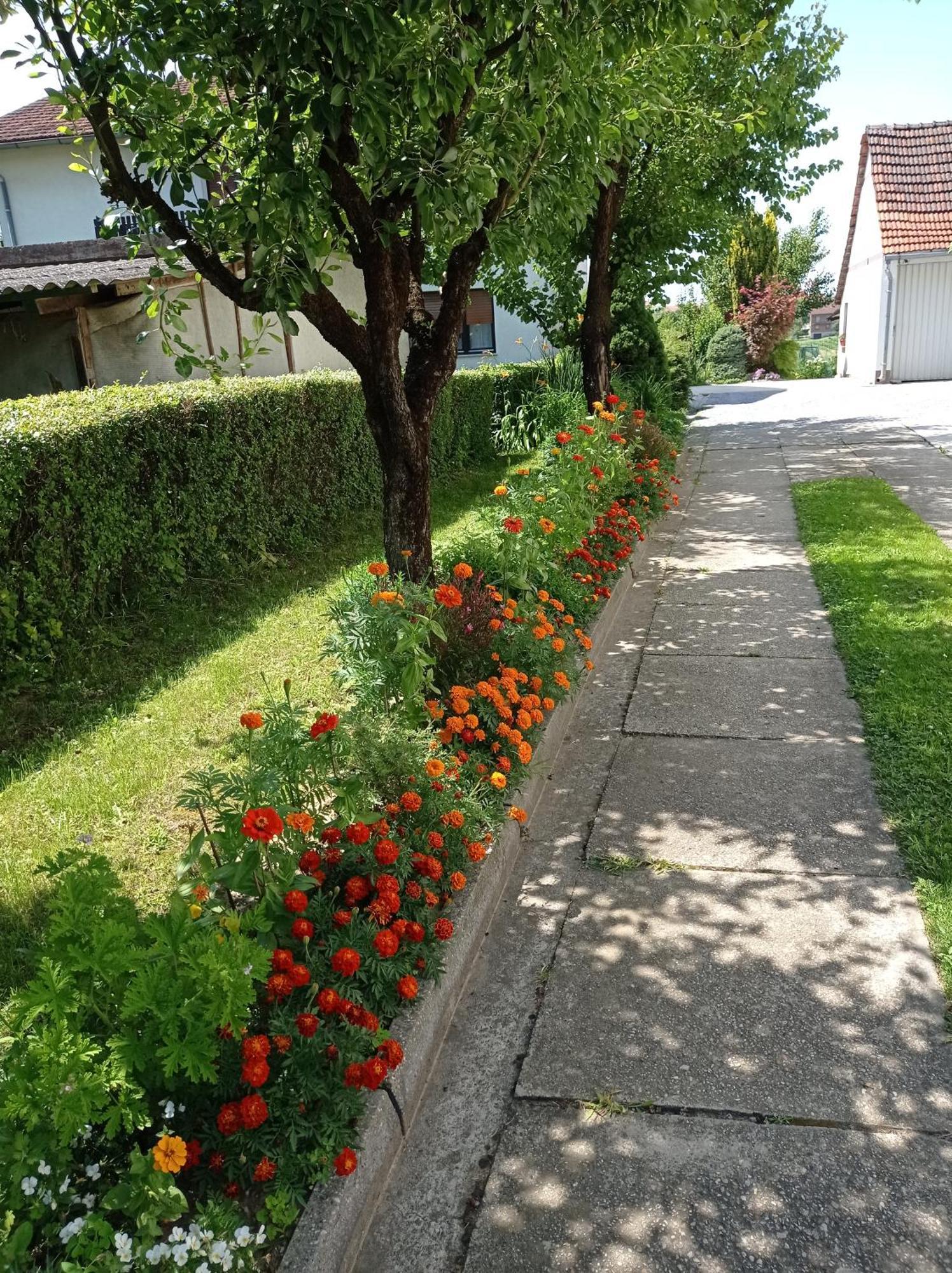 Apartman Skudar Bjelovar Buitenkant foto