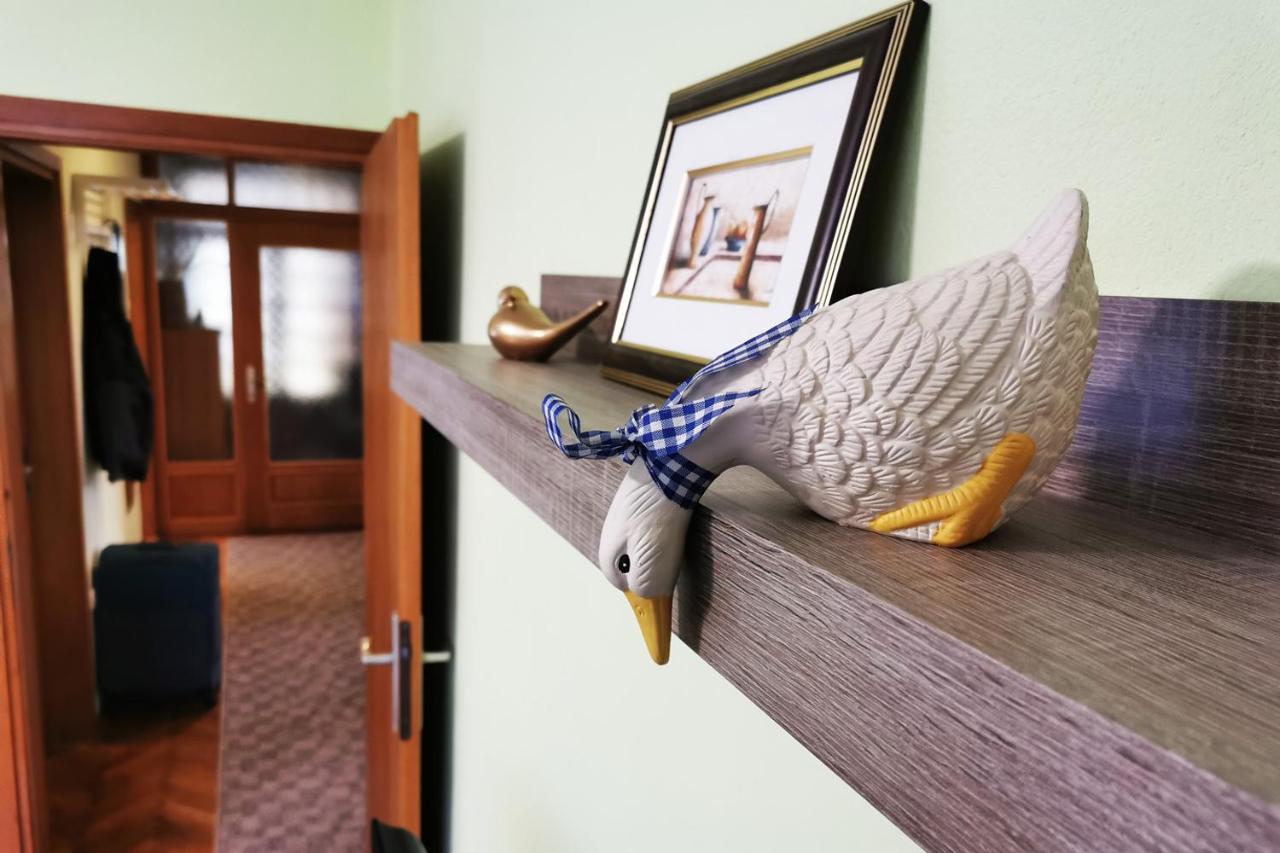 Apartman Skudar Bjelovar Buitenkant foto